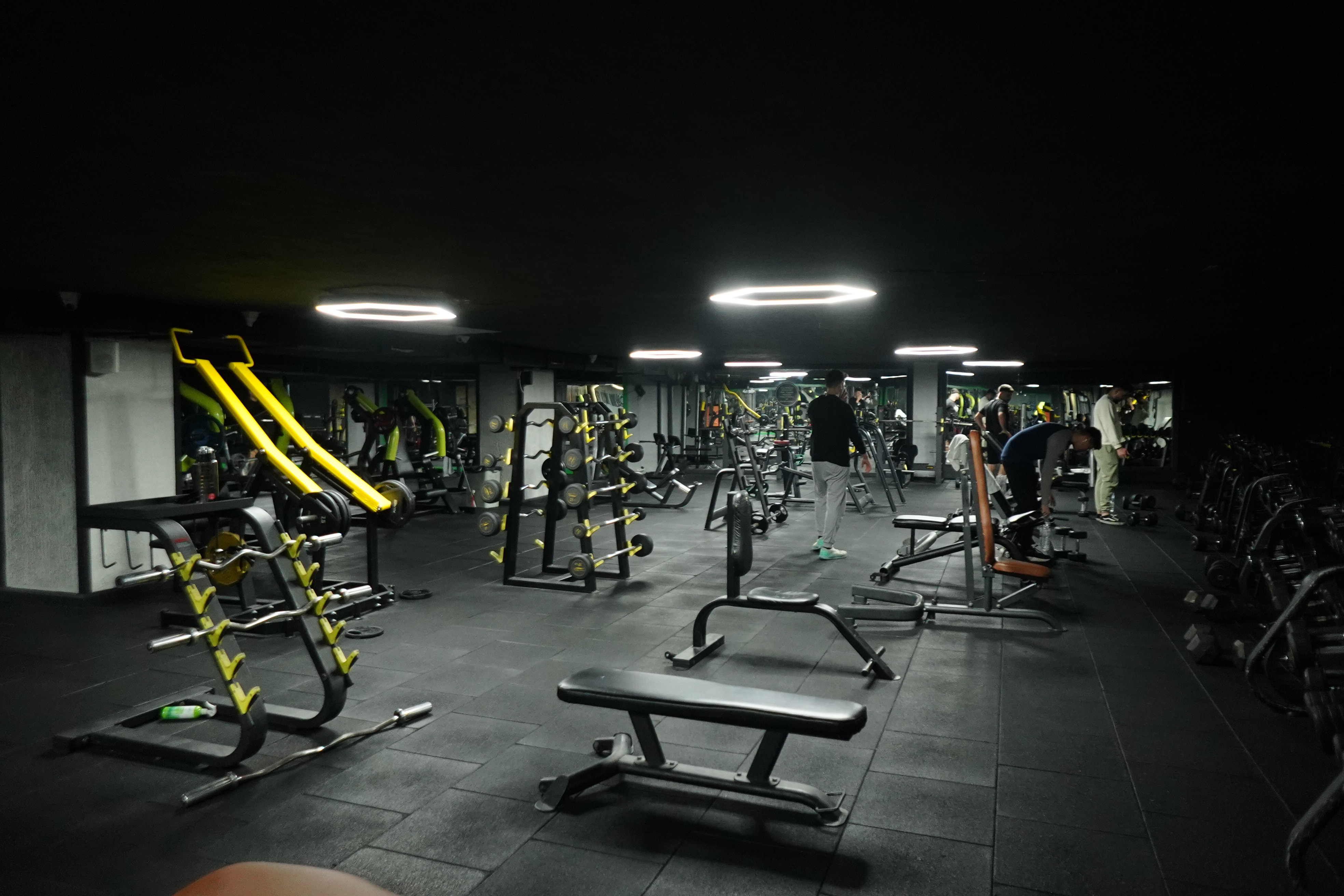 Olympus Gold Çınar görsel 3